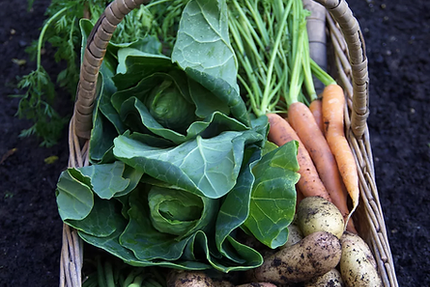 Le Bistronome en Beaujolais