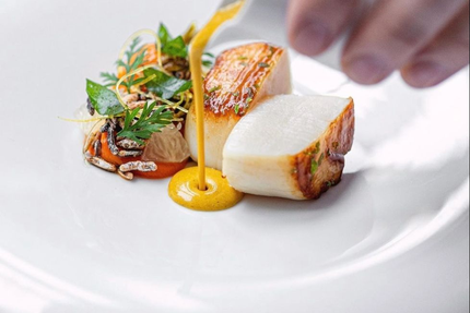 NOVA LOVA by Balthazar