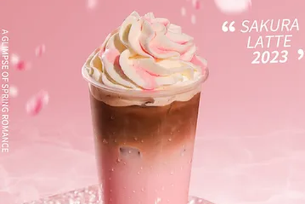 Washoku Sushi Tournefeuille