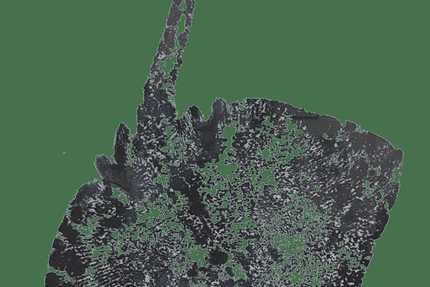 Restaurant La Pomme d'Or