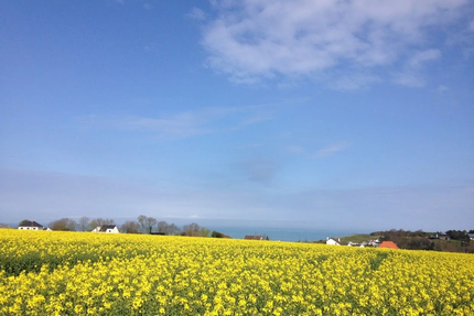 Auberge du Vieux Puits