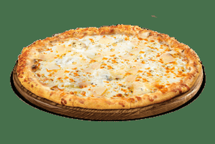 OCEZAM chaumes en brie