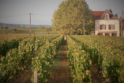 La Goutte d'Or