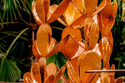 Gaya - Restaurant Bar Lounge