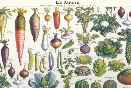 🧑‍🍳 AU VIEUX FOUR 👨‍🍳