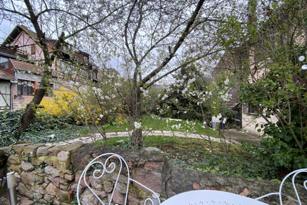 La Grappe d'Or - Riquewihr