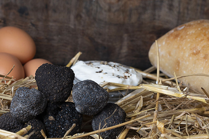 Made In France Talange