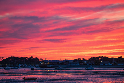 Restaurant Les Tamaris
