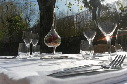 Les Coloquintes