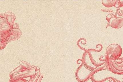 Fourchette & Tire-Bouchon