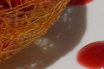 Restaurant le Lion d'Or