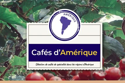 Café Guzo - Le Kiosque