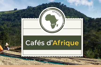 Café Guzo - Le Kiosque