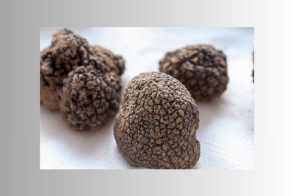 Le Saint Martial (près de Domme, en Périgord)