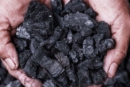 Privatisation Salle Restaurant - Lyon Oullins