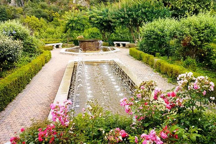 Les buffets de la roseraie