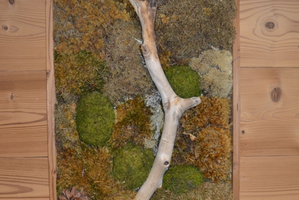 Restaurant Le Caballin (Le Ranch)