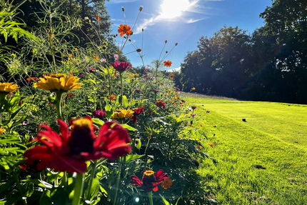 Restaurant Le Montpensier
