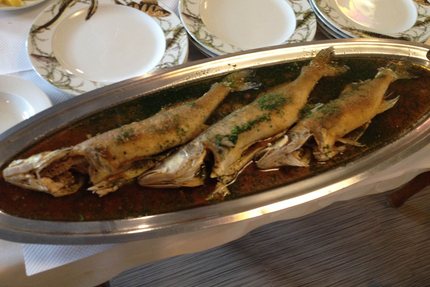 Hôtel Restaurant Bords du Rhin