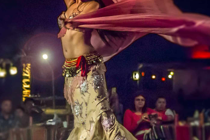 Tajinier Ambarès-et-lagrave