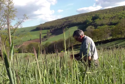 Le Restaurant Elevage Rodier