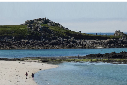 Les Chardons Bleus SARL