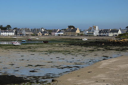 Les Chardons Bleus SARL