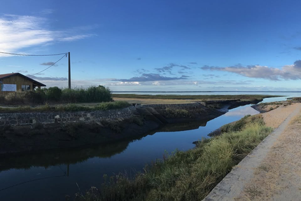 Le Shed Dégustation