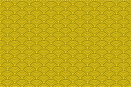 Tsushima Restaurant Japonais