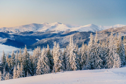 La Fermette - Fromagerie & Épicerie fine Bolquere