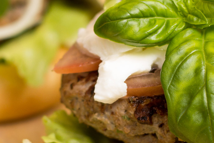 LE SAN PALOU'S KNETT