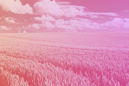 Convivio - Direction régionale - Bretagne