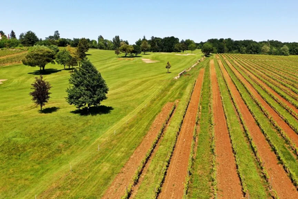 Le Restaurant du Golf du Cognac