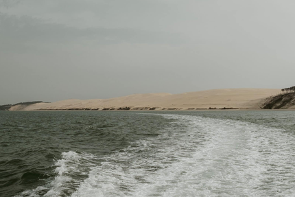 Cabane à Dégustation des Huîtres Papillon