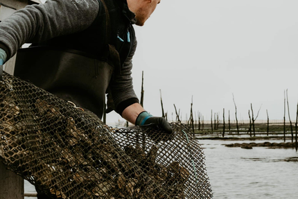 Cabane à Dégustation des Huîtres Papillon