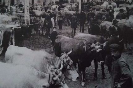 Le Maquignon braise & vins