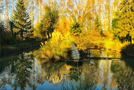 La table de Jean-Jacques Façon Petit Louis