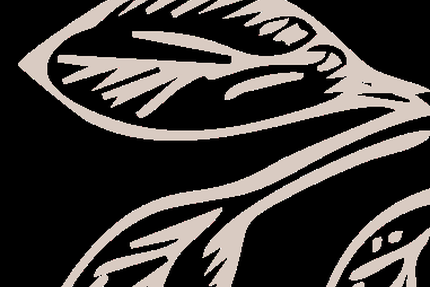 Le Cafouch Aux Saveurs