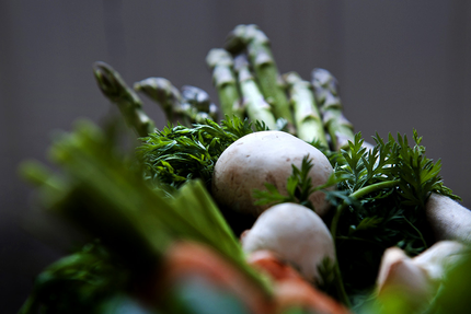 Les Terrasses de Bonnezeaux