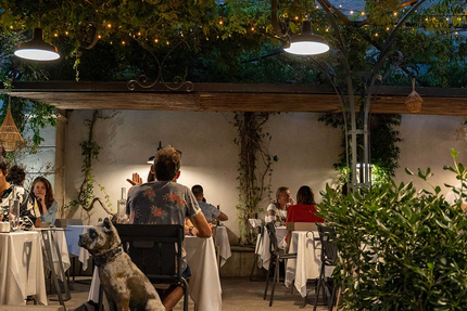 Comte Roger Carcassonne