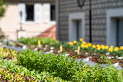 A l'Epicerie Saulx-les-Chartreux