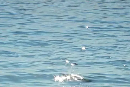 Restaurant L' Ambroisie