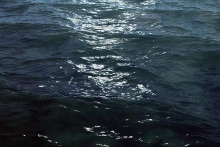 Restaurant L' Ambroisie