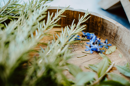 Restaurant "Les Pieds dans l’eau"