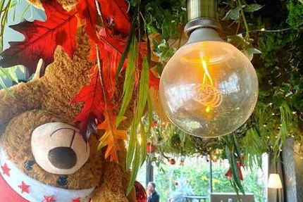 La Bella Donna Origine