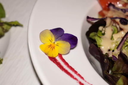 Restaurant Rivollier