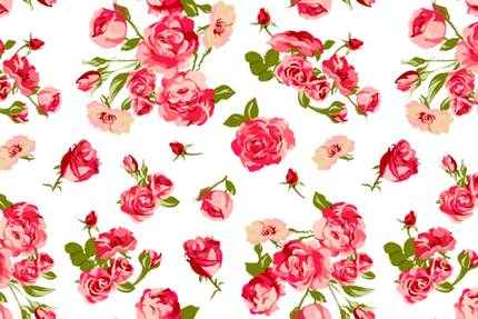 Le 1774 - Les Jambons de Marinette