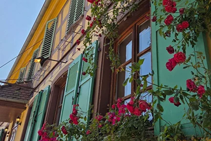 Le 1774 - Les Jambons de Marinette