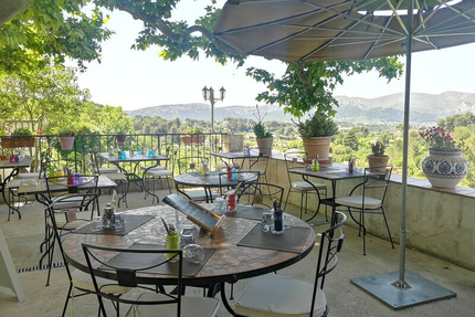 Le Cigalon de la Treille