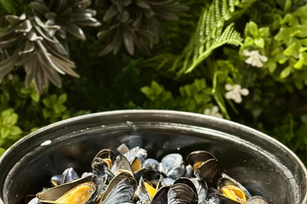 L'Entr'potes - Bar Bistrot - Stella Plage